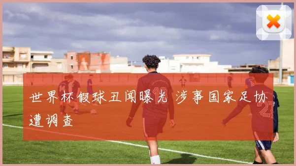 世界杯假球丑闻曝光 涉事国家足协遭调查