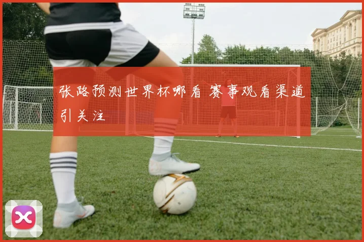 张路预测世界杯哪看 赛事观看渠道引关注
