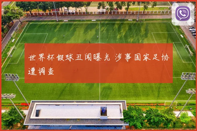 世界杯假球丑闻曝光 涉事国家足协遭调查