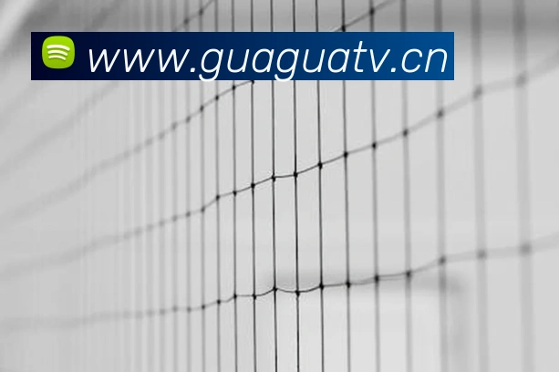 半岛网页版发展历程